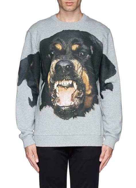 givenchy rottweiler sweater ebay|Givenchy grey rottweiler sweater.